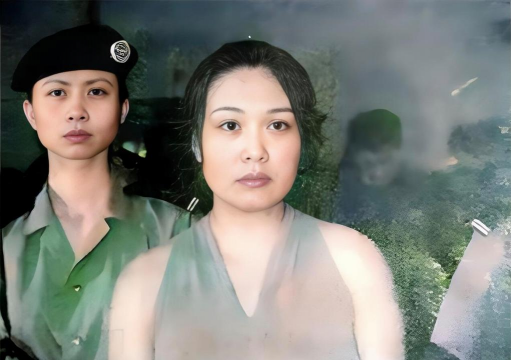 青春952(春小麦)