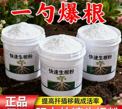 家庭养花用生根粉