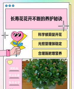 怎样养花不容易开花呢