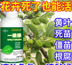 家庭养花用生根粉