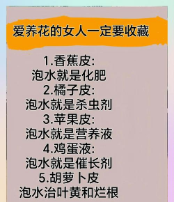 家庭养花用生根粉