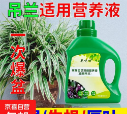 家庭养花用生根粉
