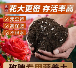 家庭养花用生根粉