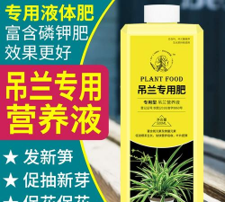 家庭养花用生根粉