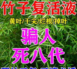 家庭养花用生根粉