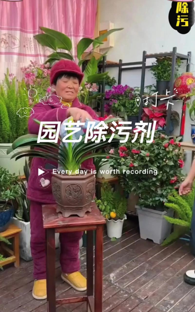 家庭养花用生根粉