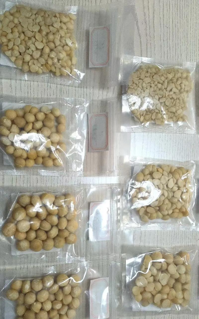 夏威夷种子怎么种