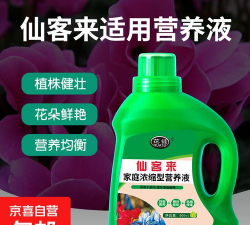 家庭养花用生根粉