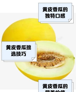怎么挑选黄皮甜瓜