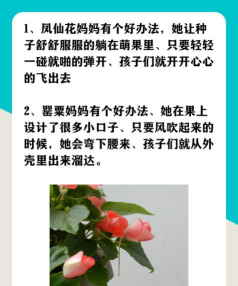 家庭养花用生根粉