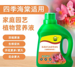 家庭养花用生根粉