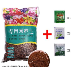 家庭养花用生根粉