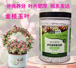 家庭养花用生根粉