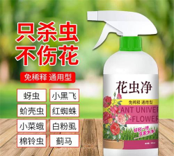 家庭养花用生根粉