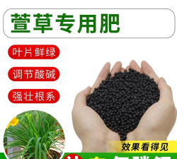 萱草用什么肥料最好