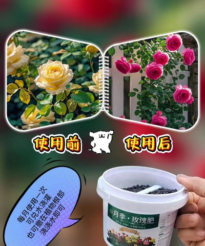 家庭养花用生根粉