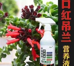 家庭养花用生根粉