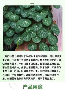 家庭养花用生根粉