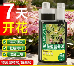 家庭养花用生根粉