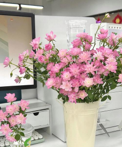 天河养花专业户是谁