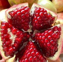 石榴子长什么样