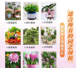 家庭养花用生根粉