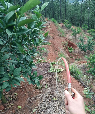 家庭养花用生根粉