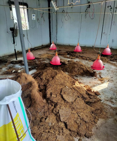 家庭养花用生根粉