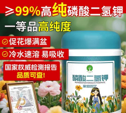 家庭养花用生根粉