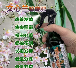 家庭养花用生根粉