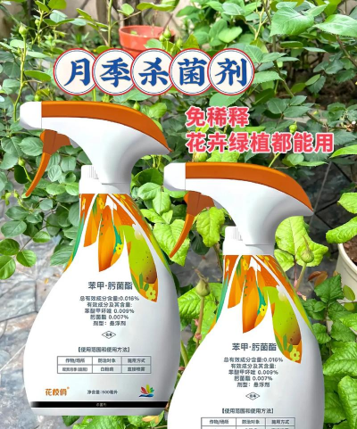 家庭养花用生根粉