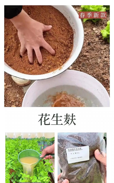 家庭养花用生根粉
