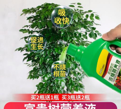 家庭养花用生根粉