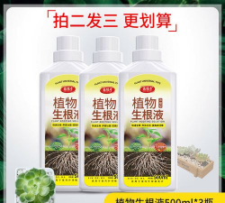 家庭养花用生根粉