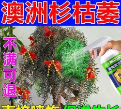 家庭养花用生根粉