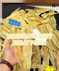 菜胶是什么东东