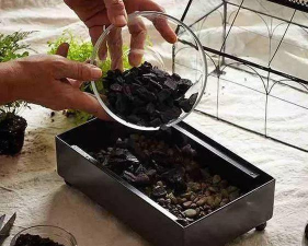 家庭养花用生根粉