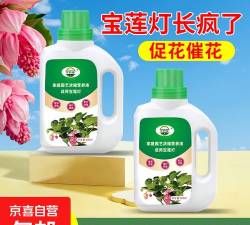 家庭养花用生根粉