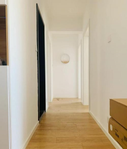 家里养花要放地脚线吗