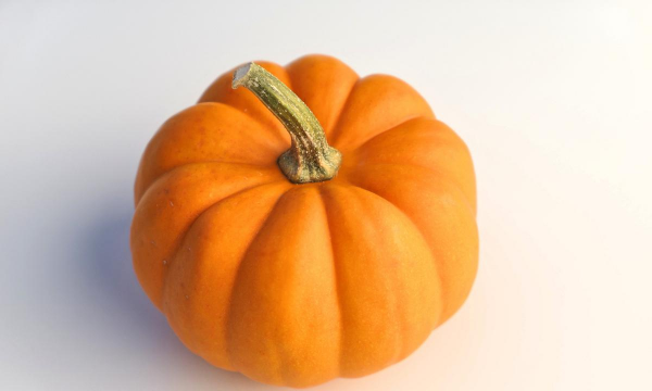 南瓜像什么样子