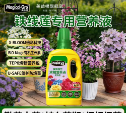 家庭养花用生根粉