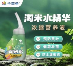 家庭养花用生根粉