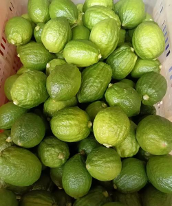 香水柠檬果是什么颜色