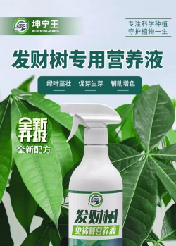 家庭养花用生根粉