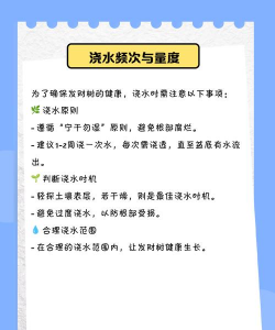 发财树怎么洒水 发财树怎么洒水