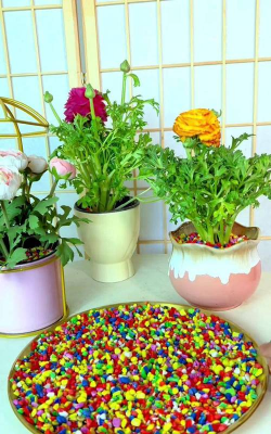 养花天然石子 养花天然石子