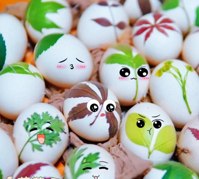 蛋壳怎么配花土 蛋壳怎么配花土