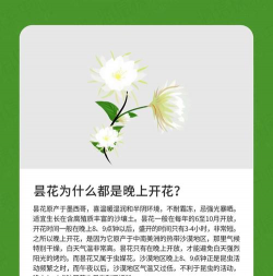 这个花朵为什么要开花 这个花朵为什么要开花