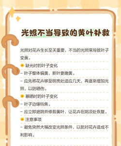 花叶发黄不绿缺什么 花叶发黄不绿缺什么