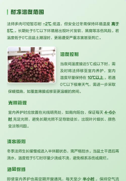 多肉如何过冬温度 多肉如何过冬温度